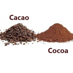 Cacao vs Cocoa